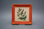 Bild 19,5cm Herbs cCMB č.6