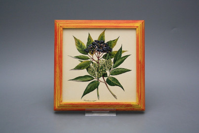 Bild 18cm Herbs kCMB č.1