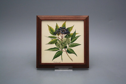 Bild 18cm Herbs kMHB č.1