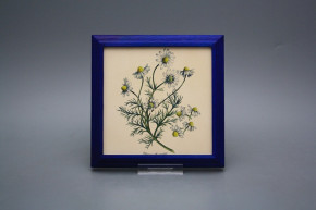 Bild 18cm Herbs kMOB