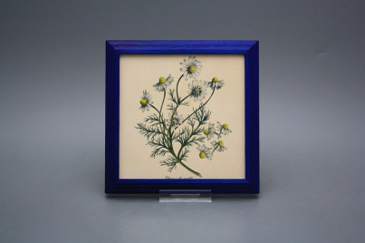 Bild 18cm Herbs kMOB č.1