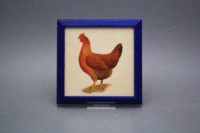 Bild 18cm Henne kMOB