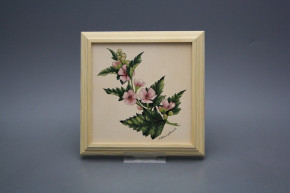 Bild 18cm Herbs kPBB