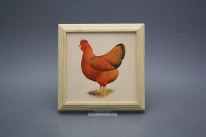 Bild 18cm Henne kPBB č.1