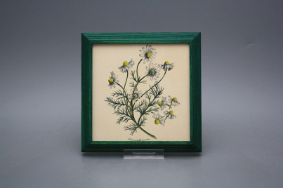 Bild 18cm Herbs kZLB č.1