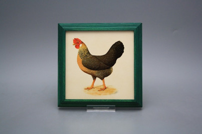 Bild 18cm Henne kZLB č.1