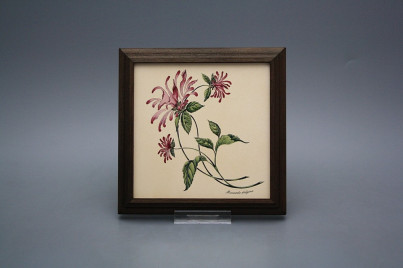 Bild 18cm Herbs kTHB č.1