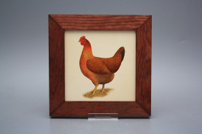 Bild 20cm Henne eMHB