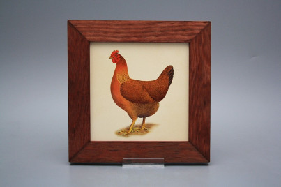 Bild 20cm Henne eMHB č.1