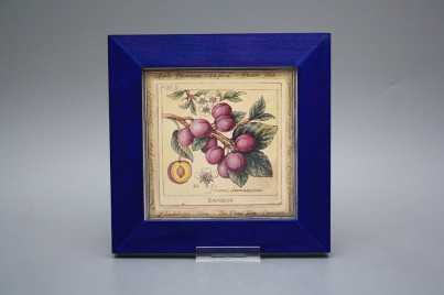 Bild 20cm Fruits eMOB č.1