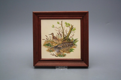 Bild 19,5cm Schnepfe cMHB č.1