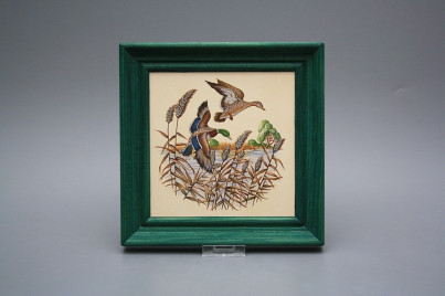 Bild 19,5cm Wildente cZLB č.1