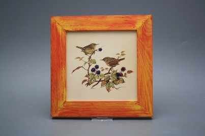 Bild 20cm Zaunkönig eCMB č.1