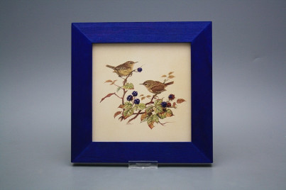 Bild 20cm Zaunkönig eMHB č.1