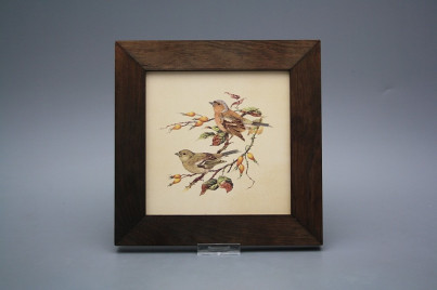 Bild 20cm Buchfink eTHB č.1