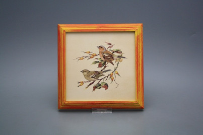 Bild 18cm Buchfink kCMB č.1