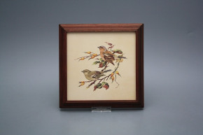 Bild 18cm Buchfink kMHB