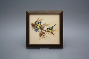 Bild 18cm Blaumeise kTHB