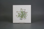 Fliesenset 20x20cm Herbs Classic 6tlg. weiß glänzend č.5