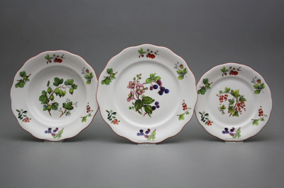 Tellerset Alaska Waldbeeren 12teiliges FCL č.1