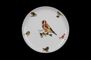 Flacher Teller 26cm Tom Stieglitz FBB