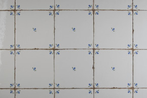 Forli Blanco Wandfliese 15x15cm Vergissmeinnicht Streuer G Forli Blanco Wandfliese 15x15cm Vergissmeinnicht Streuer G