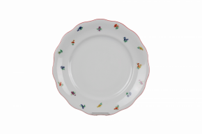 Flacher Teller 24cm Alaska Streuer ACL